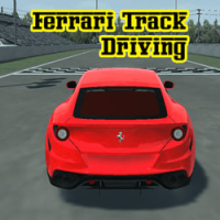 Ferrari Track Driving img